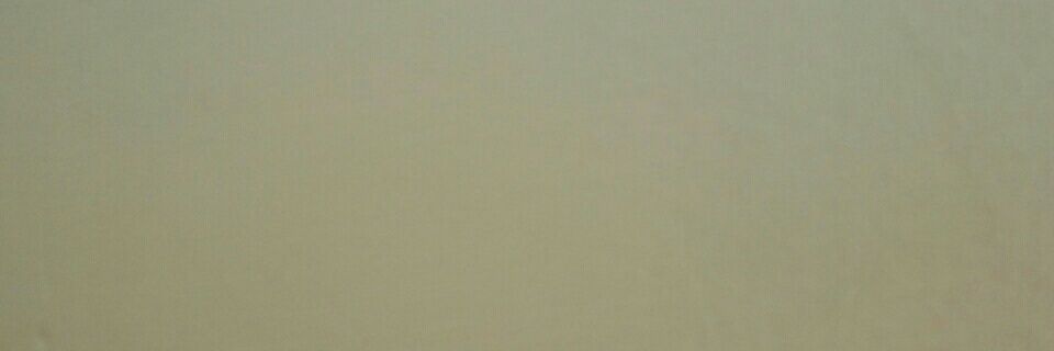 Simone banner