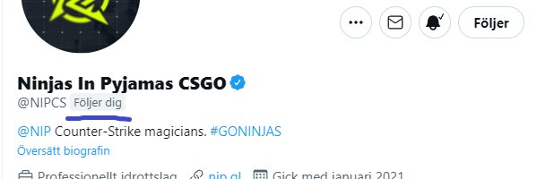 lucasturtle0's profile banner image