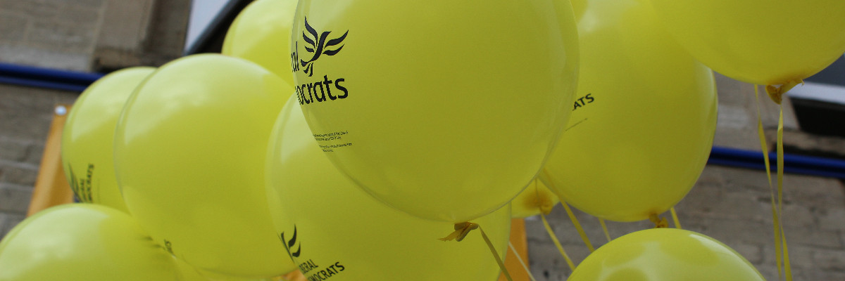 GandS_LibDems's profile banner image