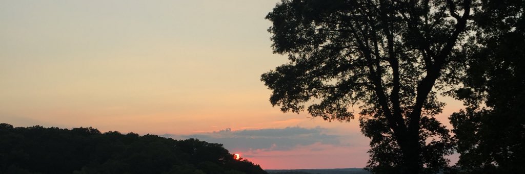 annikabard's profile banner image