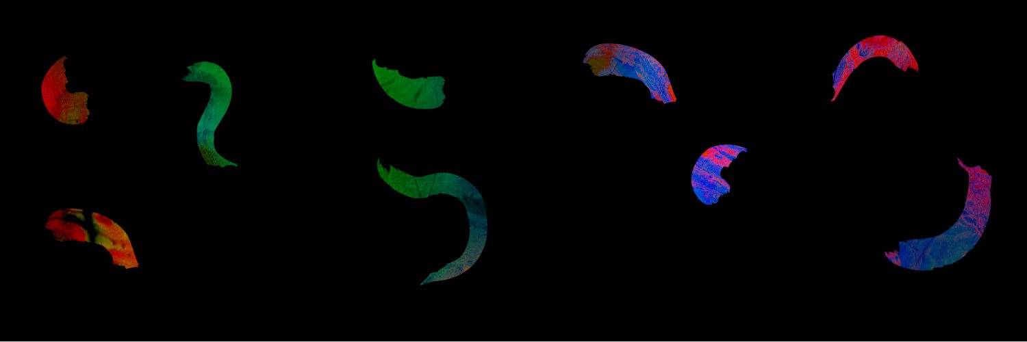 Nearly Native banner