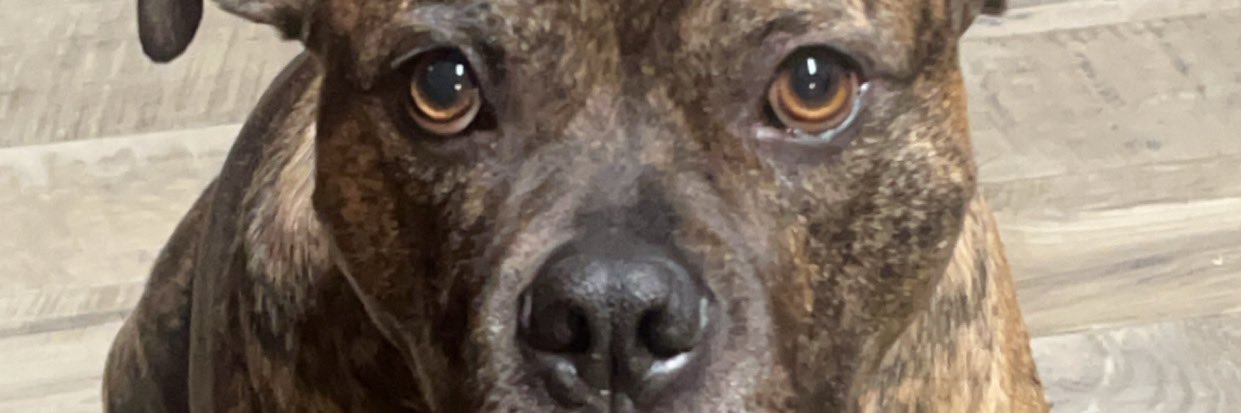tiffaanyyk's profile banner image