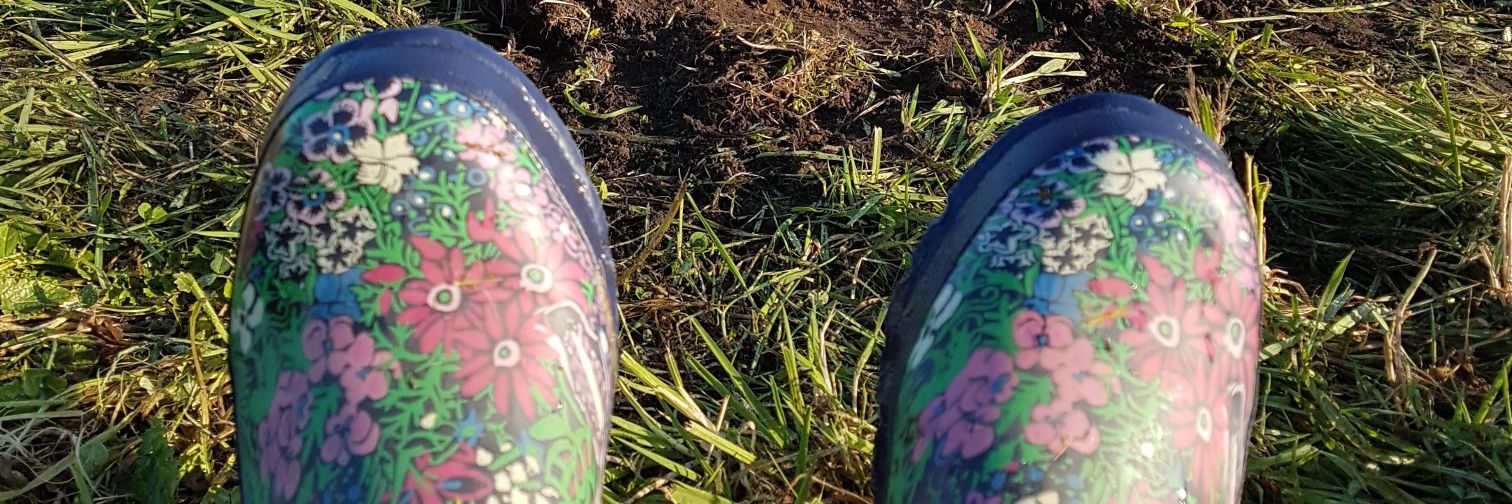 Lizzy Stillibrand banner