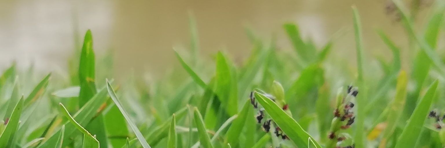 Alsheikh577's profile banner image