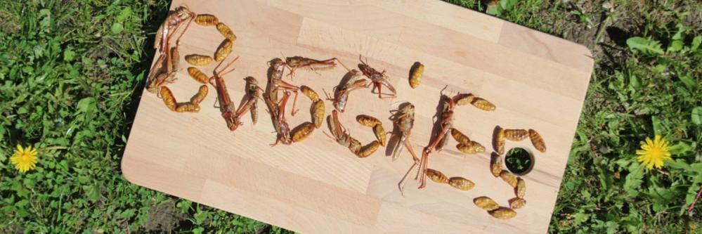 buggiesdk's profile banner image
