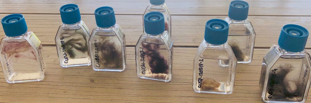 The Tidgewell Lab banner