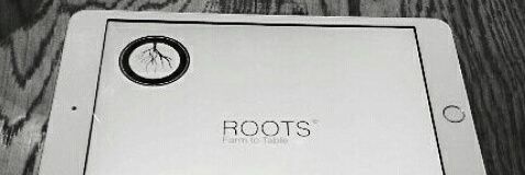 rootsfarmtotabl's profile banner image