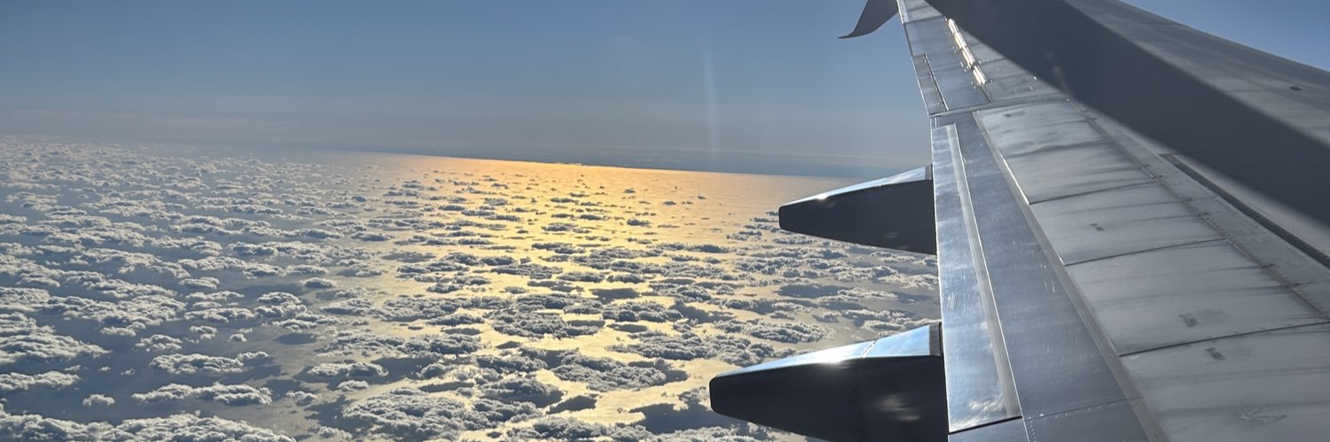 Alizaamonet's profile banner image