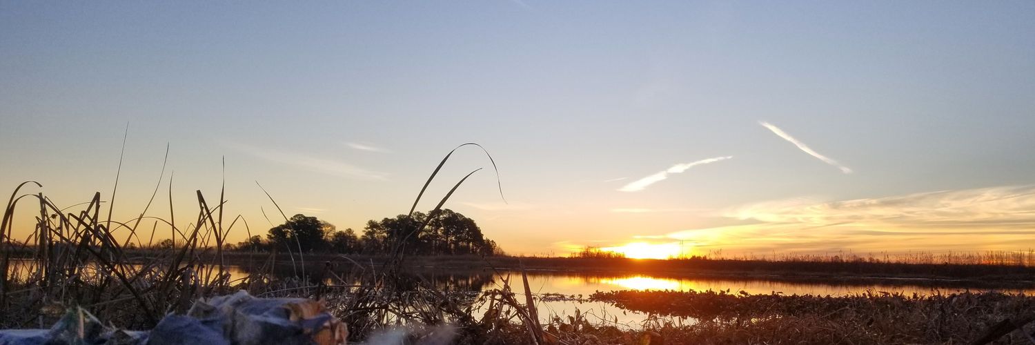 TheScottLees's profile banner image