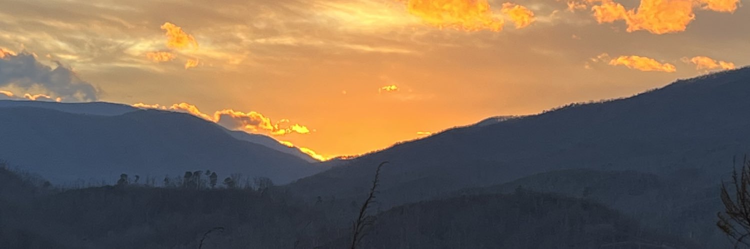 EntenceFilms's profile banner image