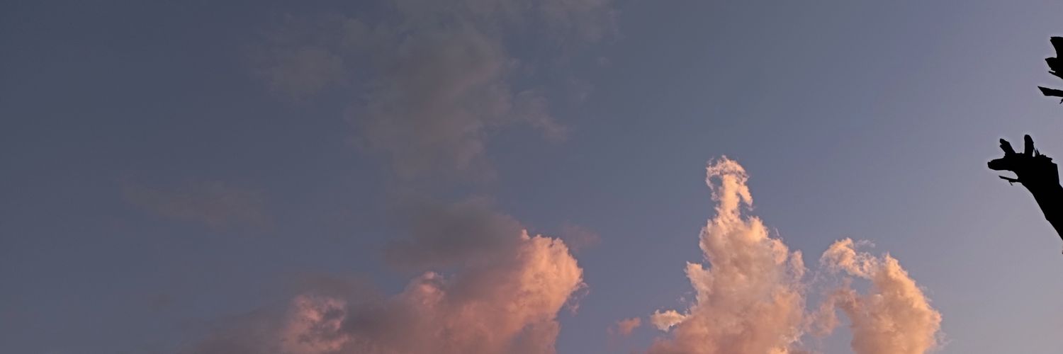 Ailu_170's profile banner image