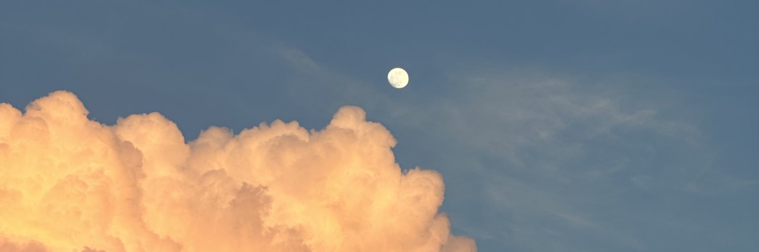 sharky99_'s profile banner image