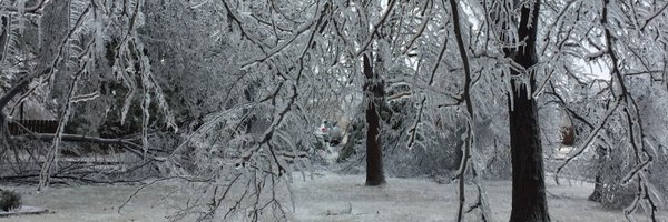 TriGozu198 Profile Banner
