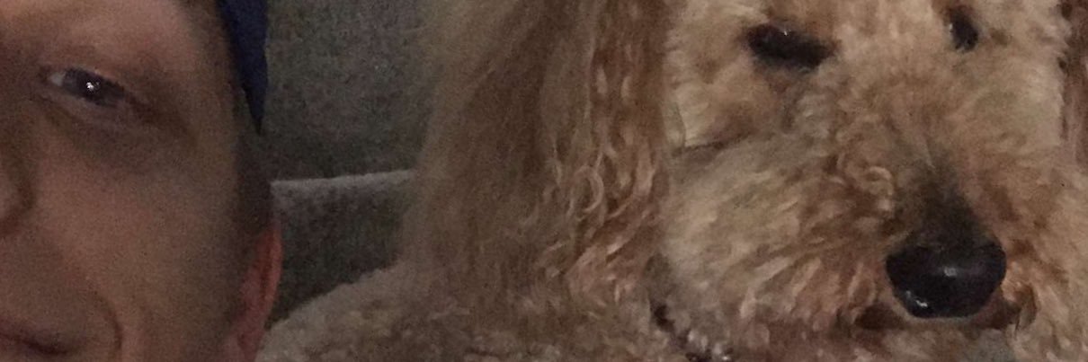 𝕸𝖆𝖝𝖜𝖊𝖑𝖑 banner