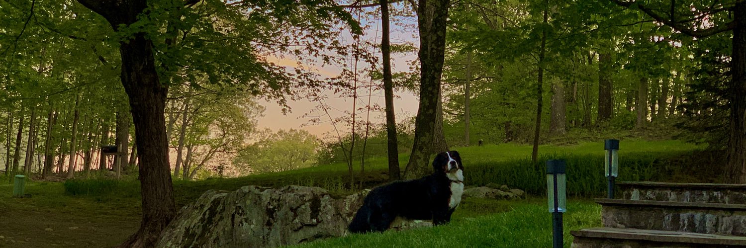 wasatchpatch's profile banner image