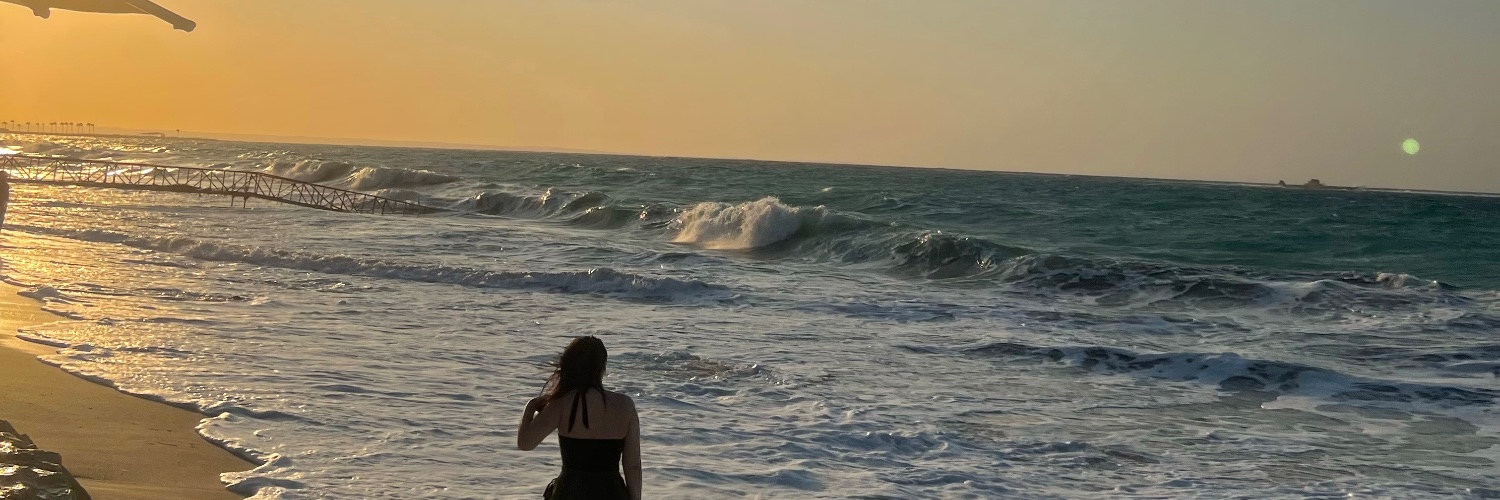 laylaaelsaeed's profile banner image