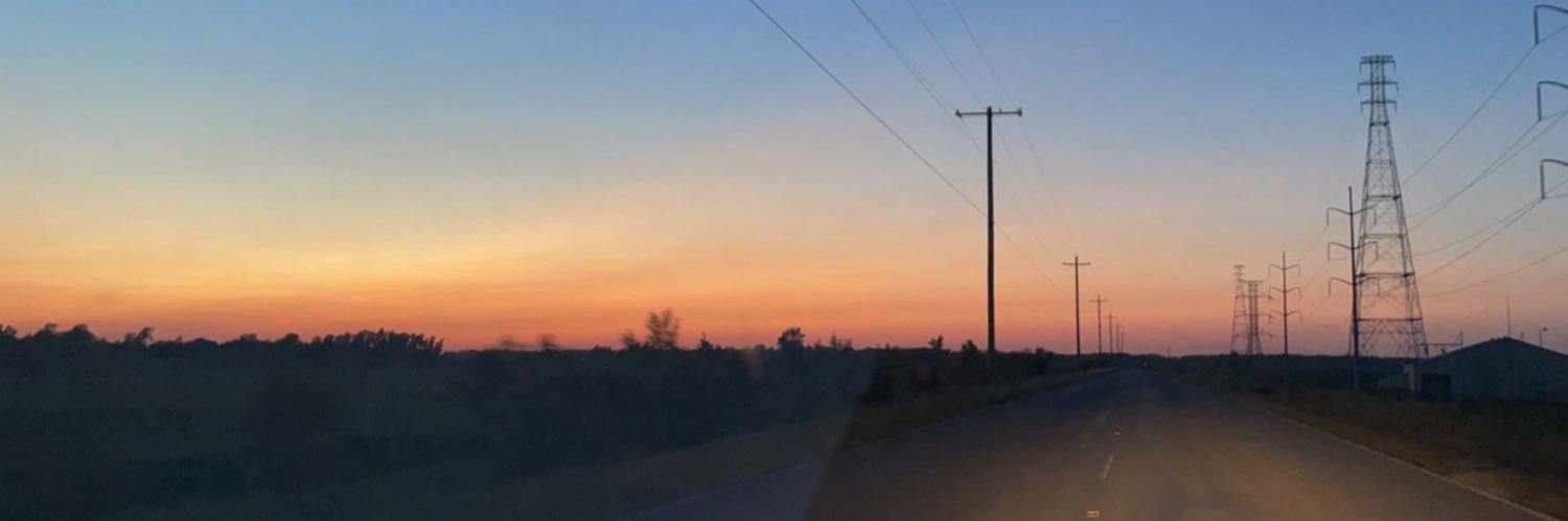 shyvlie's profile banner image