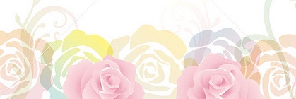 Pitto⋈*⋆ banner