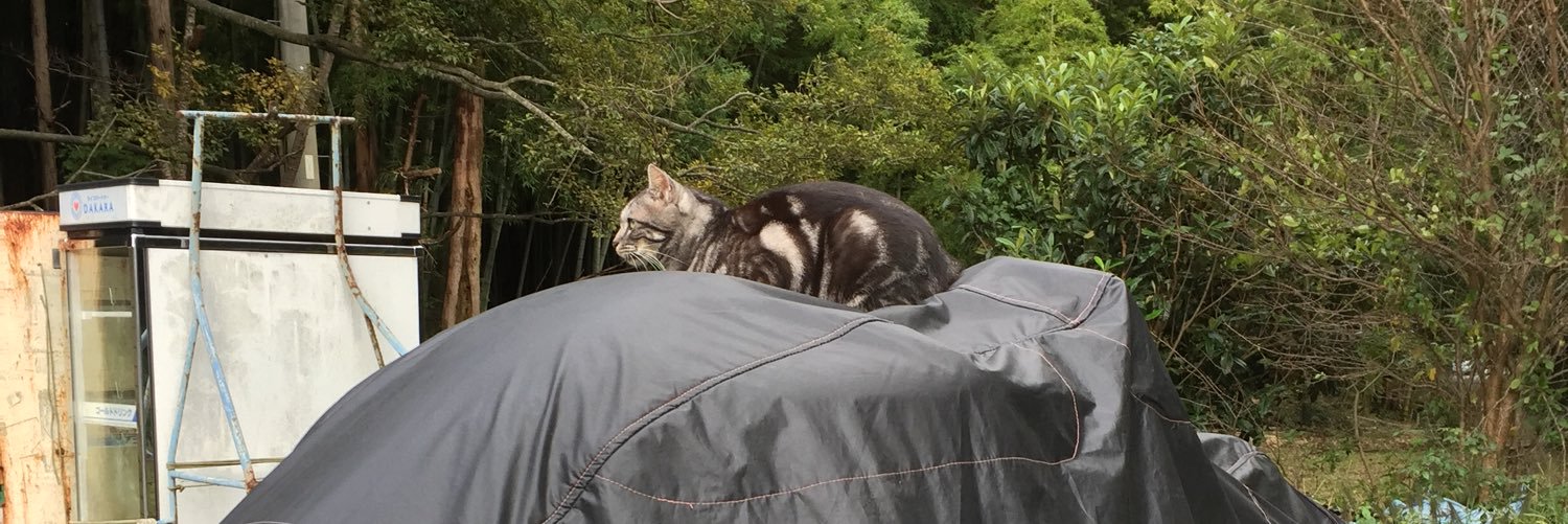 狼神(おおかみ) シルバー banner