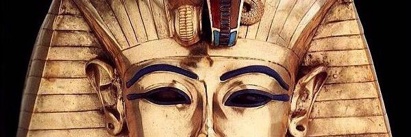 Singapore Aki🇸🇬 banner