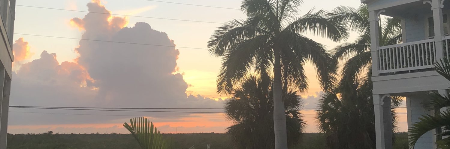 mia_palomarez's profile banner image