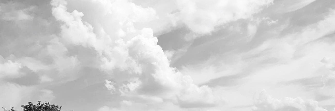 chloebrb_'s profile banner image