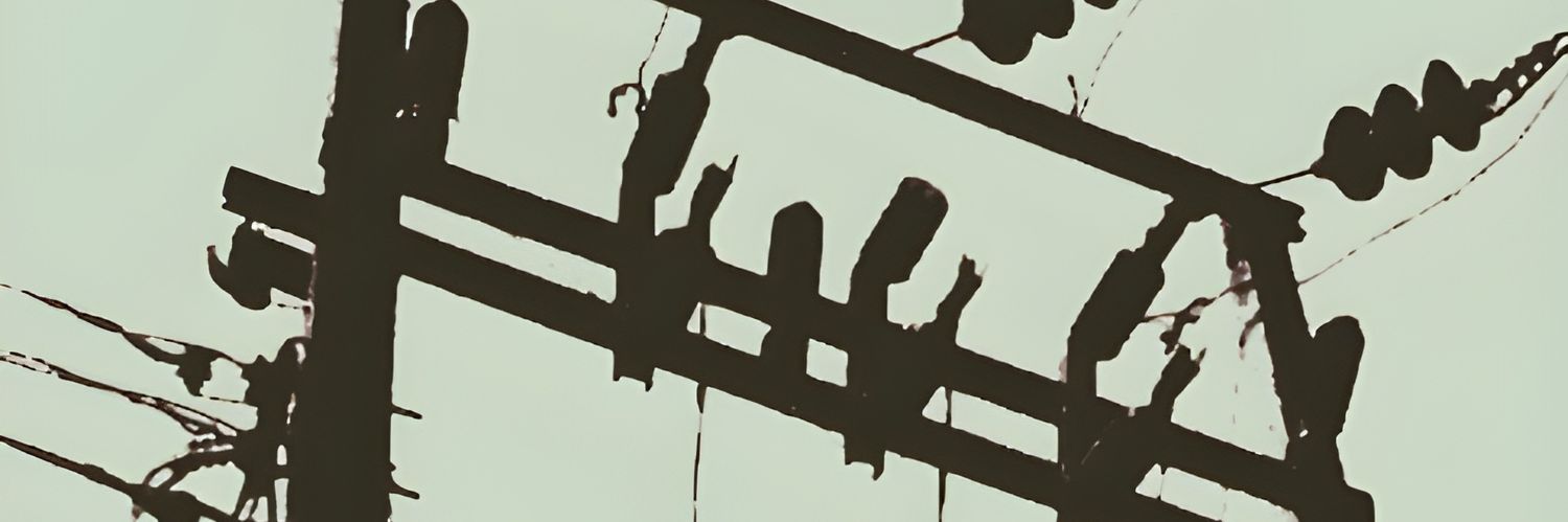 LaZougi's profile banner image