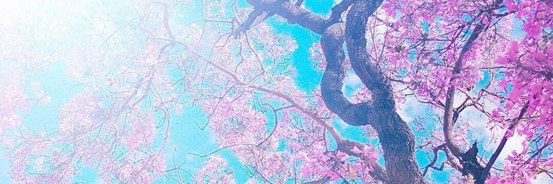 ParfBordelique's profile banner image