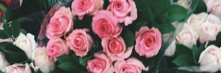 amaandez's profile banner image