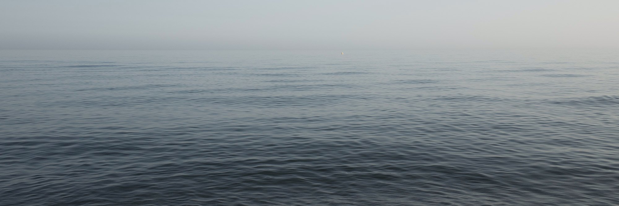 Pantling Studio banner