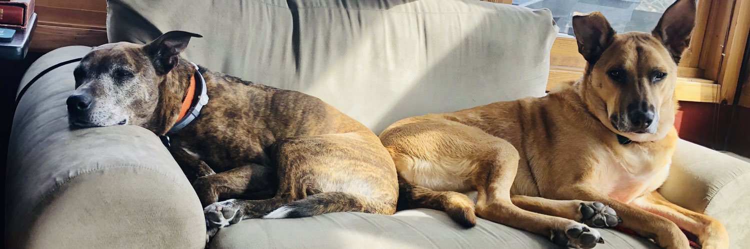 Ms C needs a snack & a nap banner