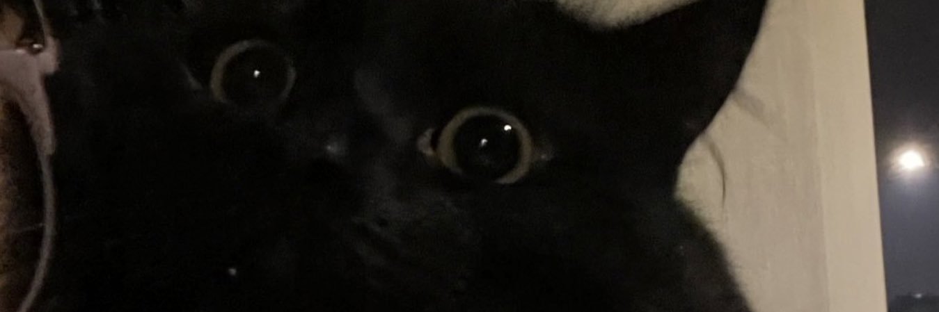 _milo0's profile banner image