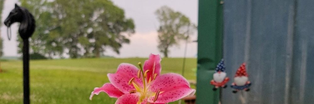 catlock77's profile banner image