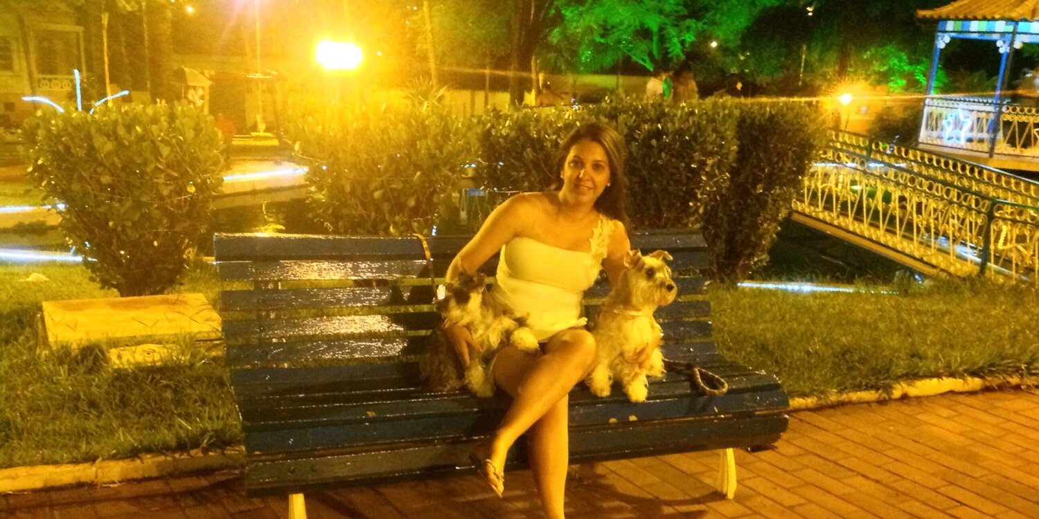 Ellen_Colucci's profile banner image