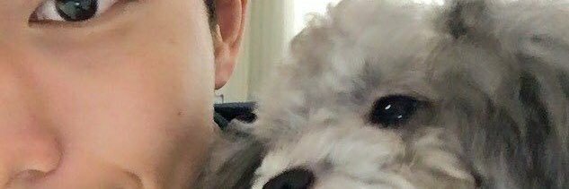 sunlitbqbe's profile banner image