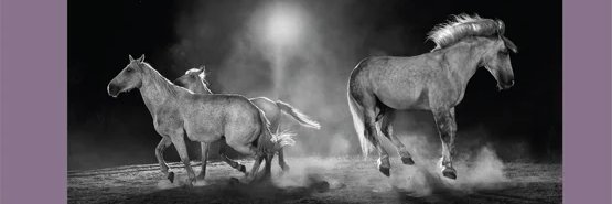 Journal of Australian Studies banner