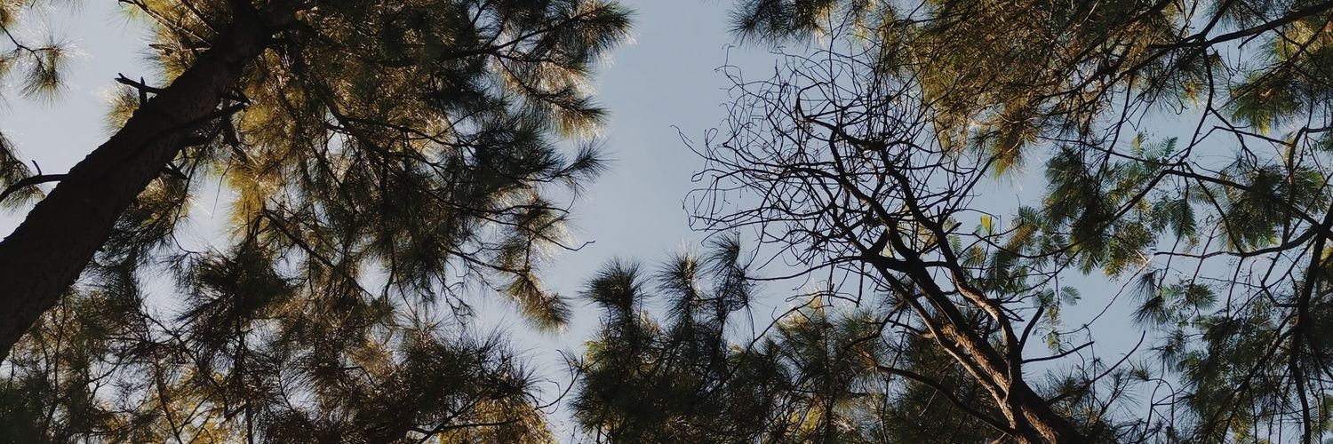 needcash_pls's profile banner image