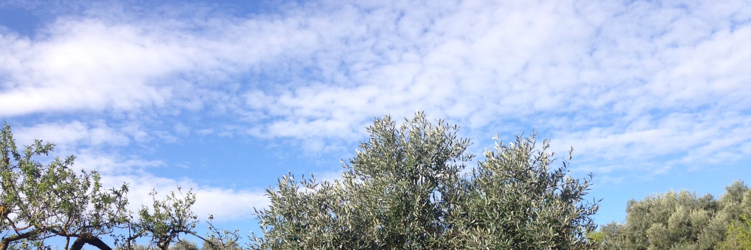 Adritarga's profile banner image