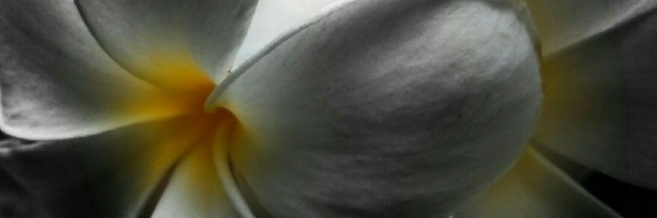 Smoothieslay's profile banner image
