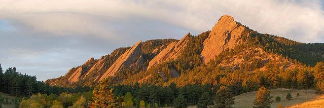 Julie Branstrom banner