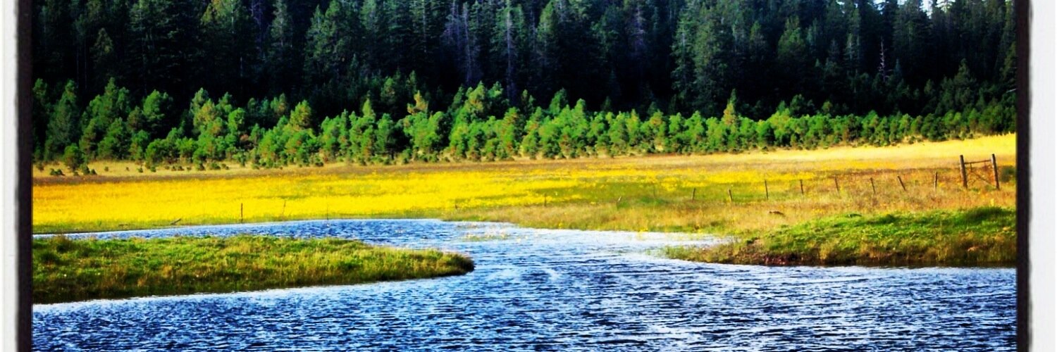 Yuly Asencion banner