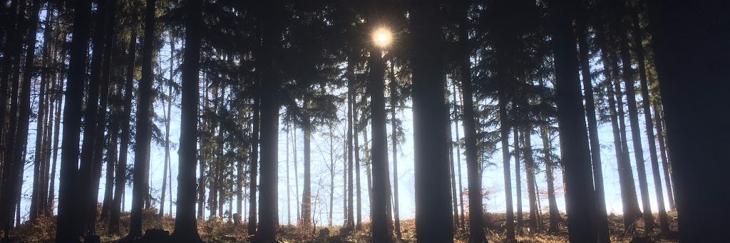 arash_faith's profile banner image