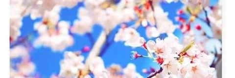 Yourhero32's profile banner image