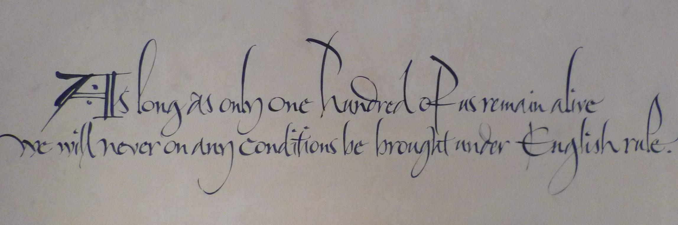 Chris Hanlon SNP banner