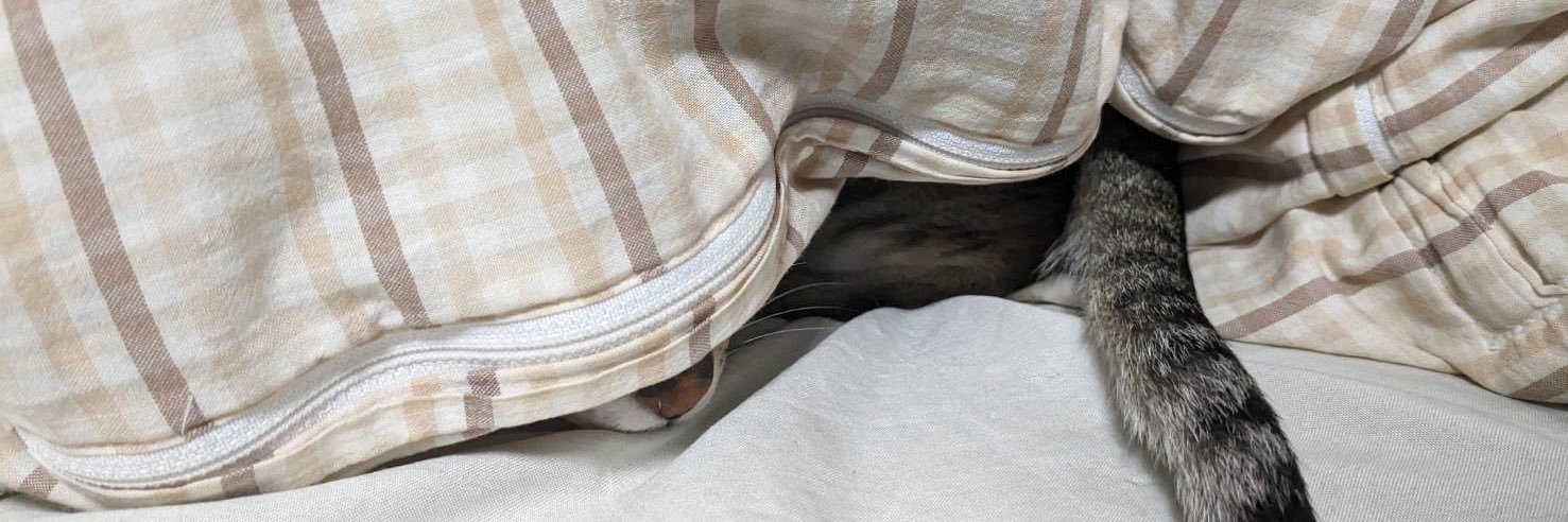 チャンタマ banner