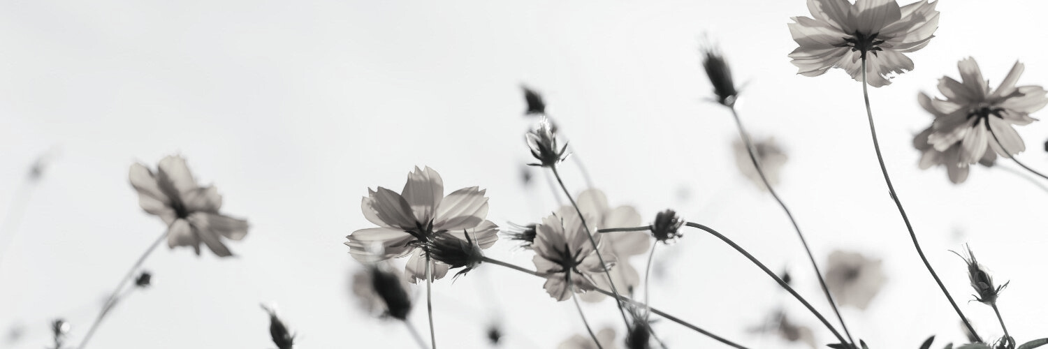 ICS Catalunya Central banner