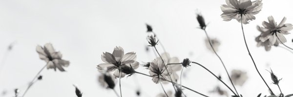 icscatcentral Profile Banner