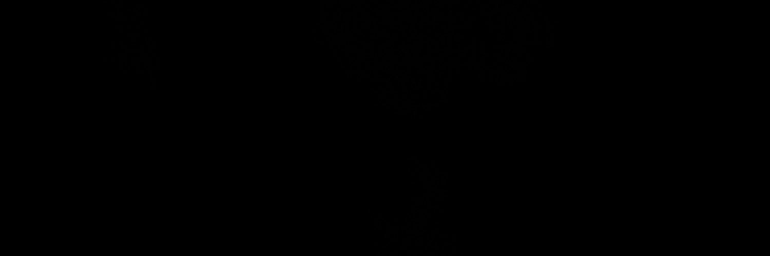 11IsaacRuiz's profile banner image