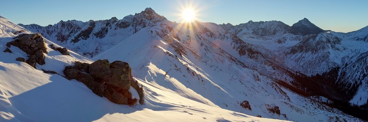 MarthaLTorres's profile banner image