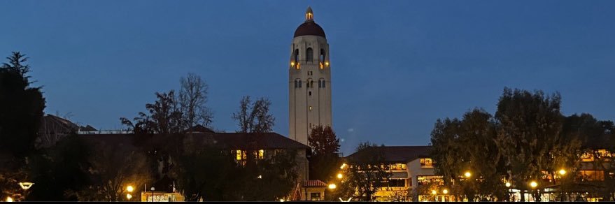 Rimvydas Baltaduonis banner